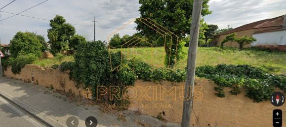 5000m² Land in Anadia, Portugal No. 79656 3