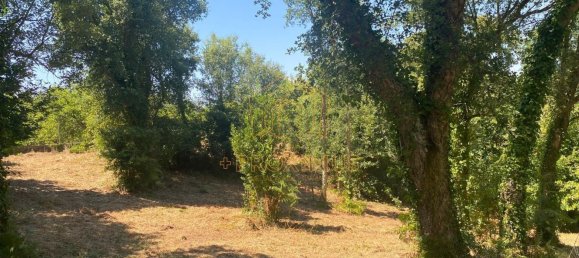 5000m² Land in Anadia, Portugal No. 79656 17