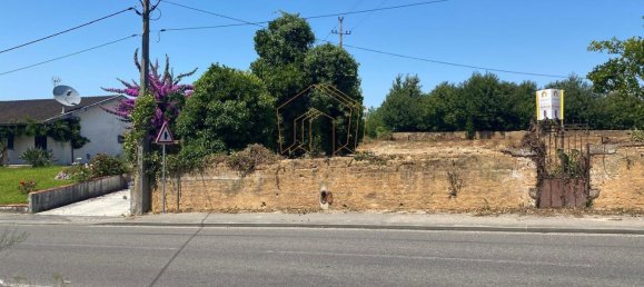 5000m² Land in Anadia, Portugal No. 79656 18