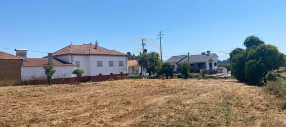 5000m² Land in Anadia, Portugal No. 79656 10