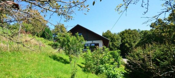 5 rooms House in Neuhaus am Klausenbach, Austria No. 236251 12