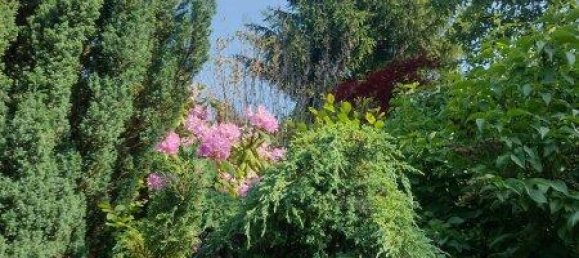 5 rooms House in Neuhaus am Klausenbach, Austria No. 236251 44