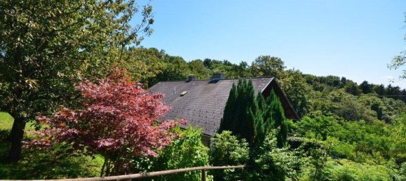 5 rooms House in Neuhaus am Klausenbach, Austria No. 236251 9