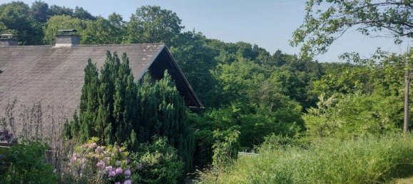 5 rooms House in Neuhaus am Klausenbach, Austria No. 236251 43