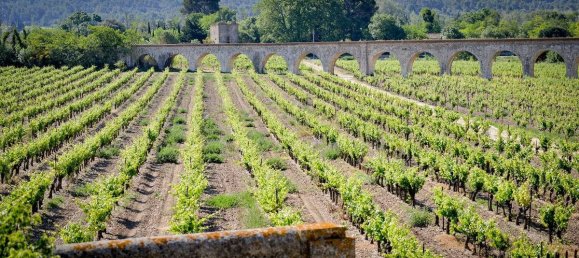 3 Schlafzimmer Wohnung in Azille, France, Nr. 1889 27