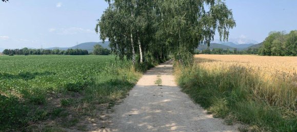 Grundstück in Willendorf, Austria 314000m², Nr. 232843 7