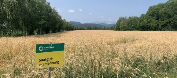 Grundstück in Willendorf, Austria 314000m², Nr. 232843 5