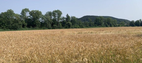 Grundstück in Willendorf, Austria 314000m², Nr. 232843 3