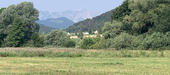 Grundstück in Willendorf, Austria 314000m², Nr. 232843 4