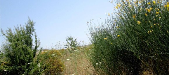 Hôtel à Chalkidiki, Greece 4123m² No. 7129 3