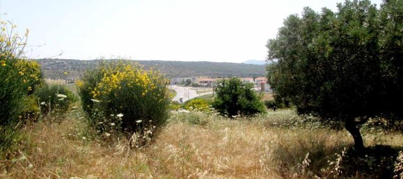 Hôtel à Chalkidiki, Greece 4123m² No. 7129 2