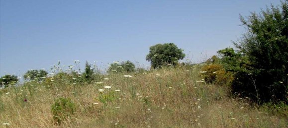 Hôtel à Chalkidiki, Greece 4123m² No. 7129 4