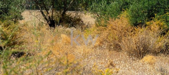 Grundstück in Loule, Portugal 2055m², Nr. 37667 18