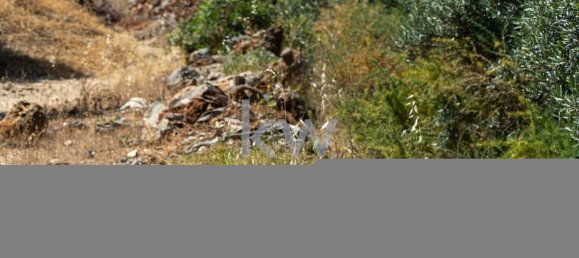 Grundstück in Loule, Portugal 2055m², Nr. 37667 16