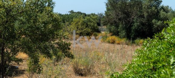 Grundstück in Loule, Portugal 2055m², Nr. 37667 28