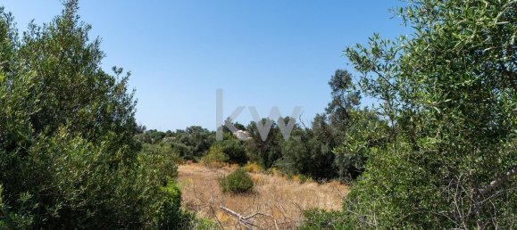 Grundstück in Loule, Portugal 2055m², Nr. 37667 5