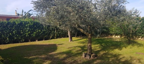 5 rooms Villa in Pozzuoli, Italy No. 31519 13