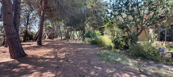 4 bedrooms Villa in Meze, France No. 298257 17