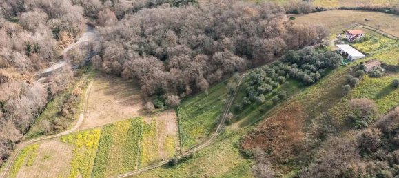 6غرفة منزل في Ceraso, Italy رقم 111436 2