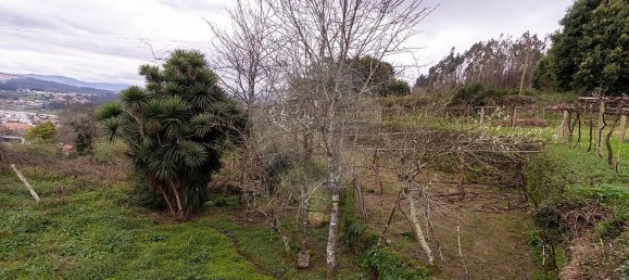 5 bedrooms House in Penafiel, Portugal No. 188911 22