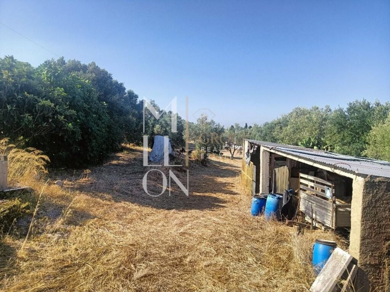 7000m² Land in Cascais, Portugal No. 227872