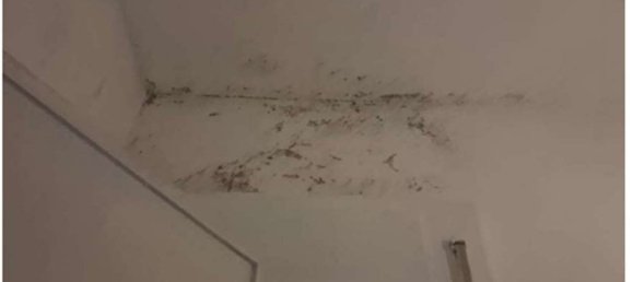 2-salle Villa à Ardea, Italy No. 188017 13