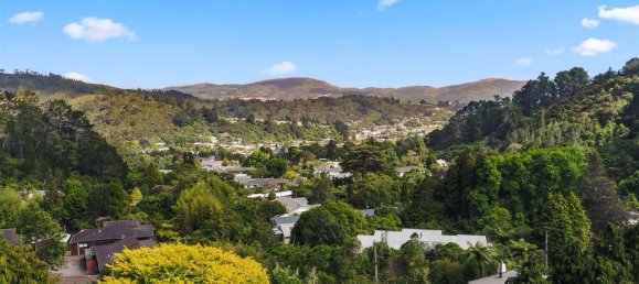 2033m² Land in Stokes Valley, New Zealand No. 18 6