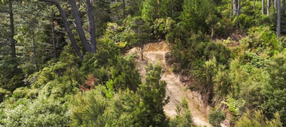 2033m² Land in Stokes Valley, New Zealand No. 18 3