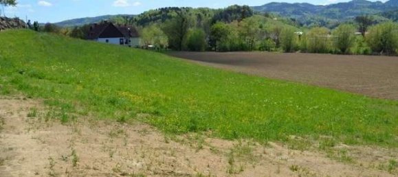 Terrain à Leutschach an der Weinstrasse, Austria No. 244646 5