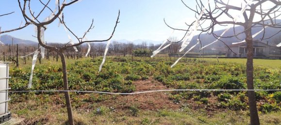 Grundstück in Fontechiari, Italy 1500m², Nr. 162105 3