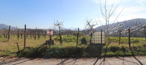 Grundstück in Fontechiari, Italy 1500m², Nr. 162105 5