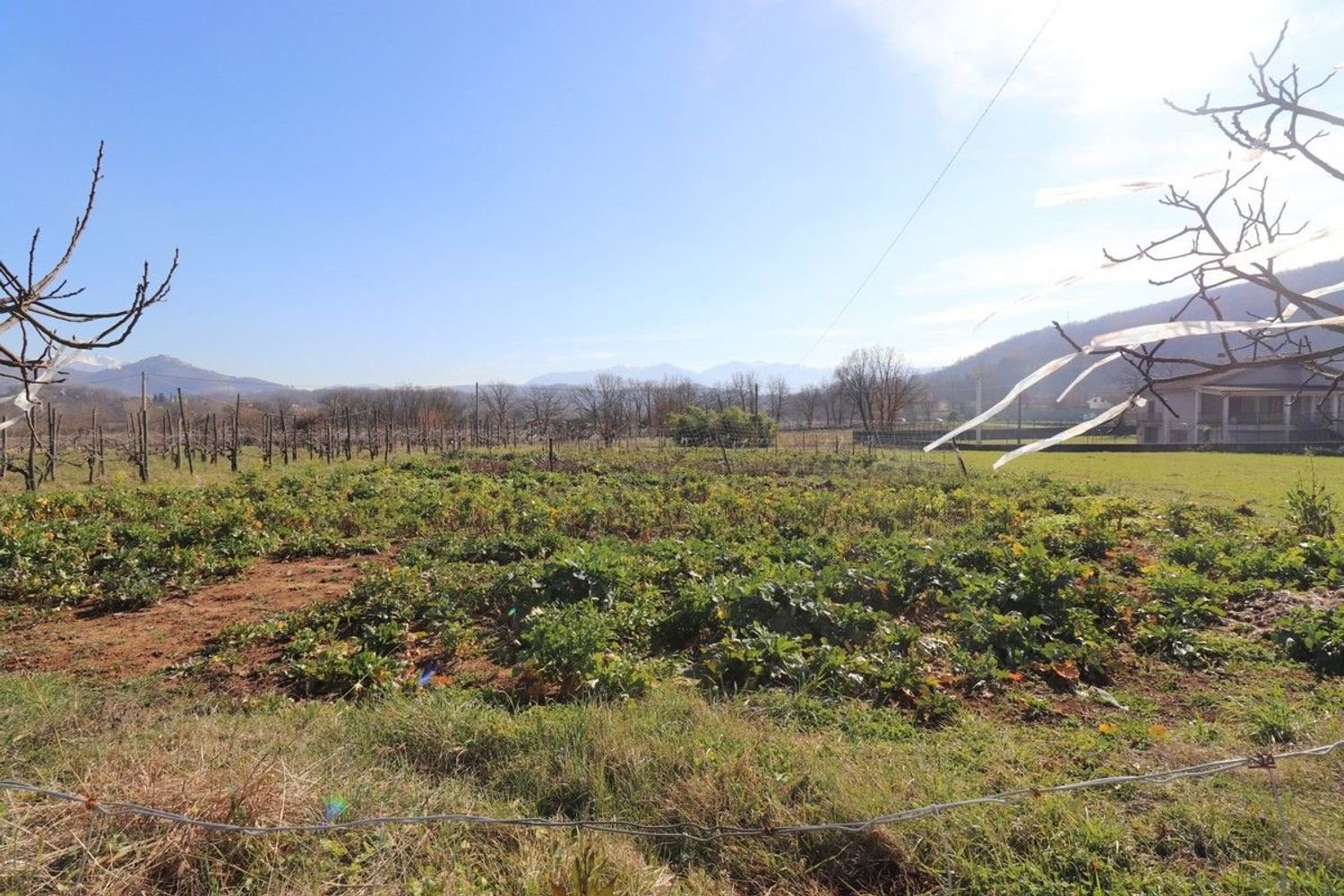 Grundstück in Fontechiari, Italy 1500m², Nr. 162105