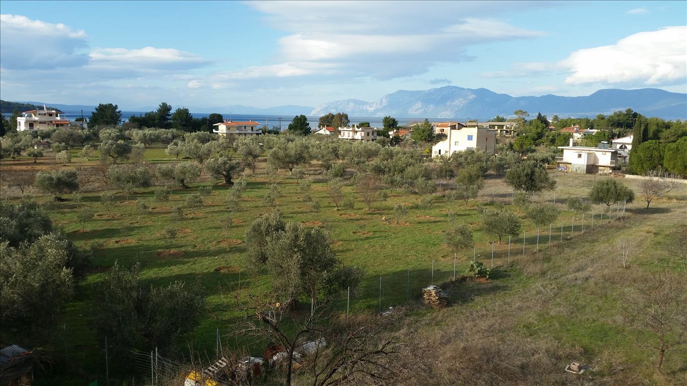 Villa de 6 dormitorios en Euboea, Greece No. 6446