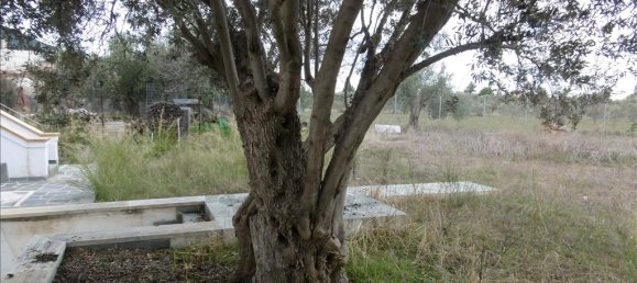 Villa de 6 dormitorios en Euboea, Greece No. 6446 30