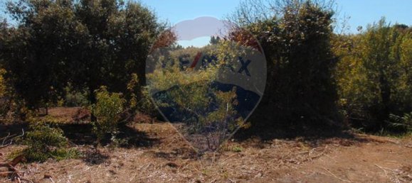 4440m² Land in Lourinha, Portugal No. 58844 6