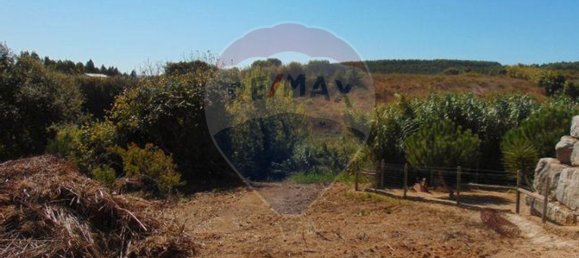 4440m² Land in Lourinha, Portugal No. 58844 5