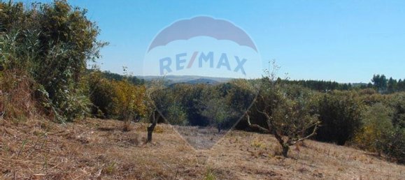4440m² Land in Lourinha, Portugal No. 58844 7
