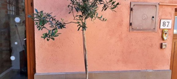 Квартира с 5 комнатами в Ареццо, Италия № 163710 25