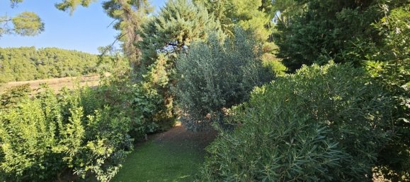 Мезонет с 4 спальнями в Халкидики, Центральная Македония, Македония и Фракия, Греция № 92525 14