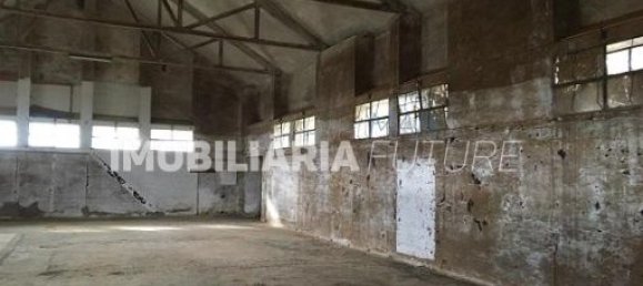 367m² Warehouse in Alfandega da Fe, Portugal No. 33005 3