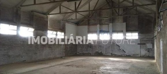367m² Warehouse in Alfandega da Fe, Portugal No. 33005 4