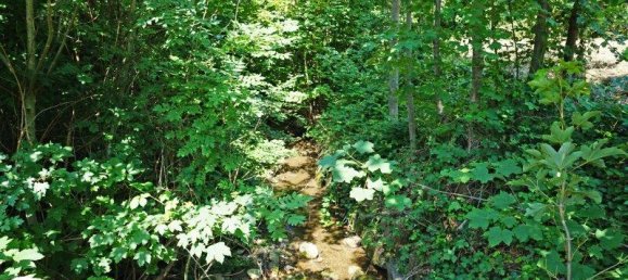 Grundstück in Pressbaum, Austria 718m², Nr. 117212 8