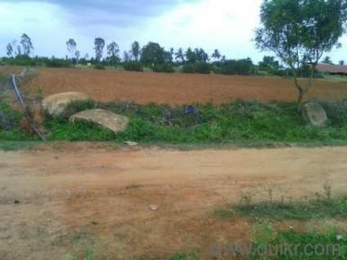  Land in Bangalore, India No. 37387