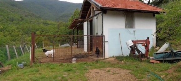 9 rooms House in Priola, Italy No. 227446 16