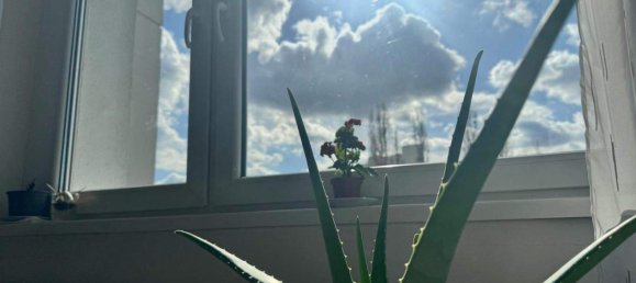 Apartamento de 2 habitaciónes en Brigittenau, Austria No. 187434 16