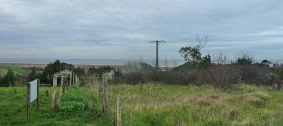 Дом с 4 спальнями в Арс, Франция № 192469 10