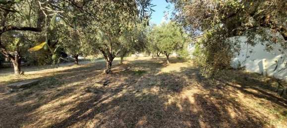 200m² Property in Chalkidiki, Greece No. 3880 26