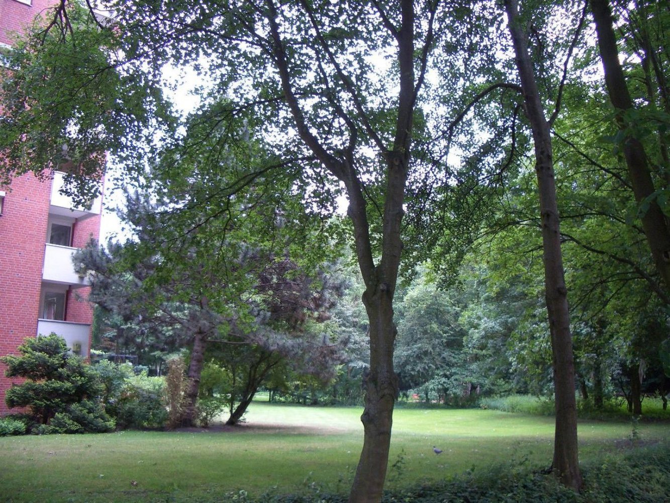 2 rooms Apartment in Altona, Germany No. 6242