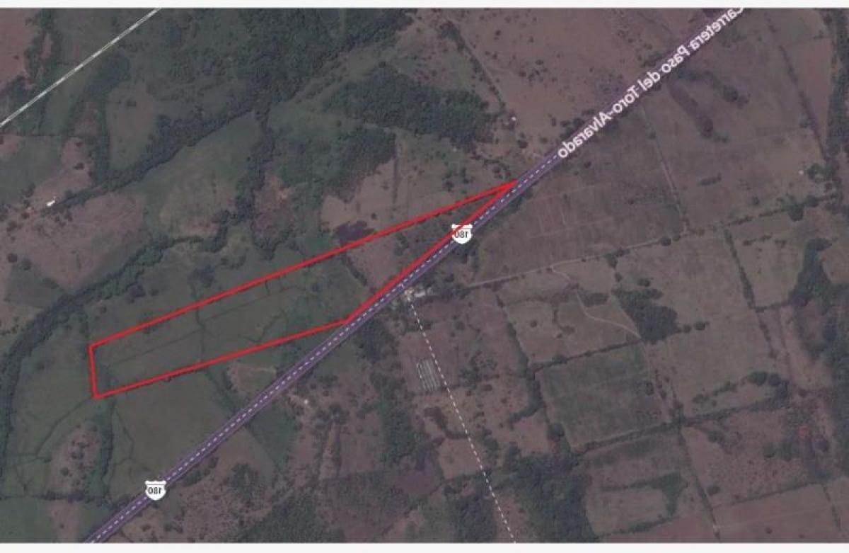 Estudio en Veracruz, Mexico No. 211576