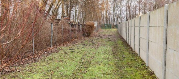 5 rooms House in Zurndorf, Austria No. 128964 20